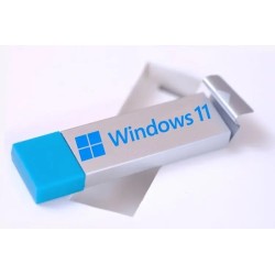 Upgrade Windows 11 Plug and Play